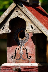 I think house sparrows finally whittled the opening to this birdhouse so they could build a nest.  Usually wrens have nested here, but with the larger opening, I suspect they will find a more secure nesting spot.  There are babies inside.  I had hoped to catch the bright yellow mouths, but they didn't cooperate.