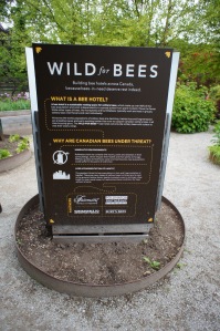 Information about bees at the Toronto Botanical Gardens, the smallest botanical garden in North America at just 5 acres.