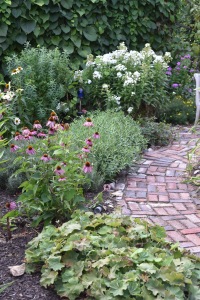 In the Secret Garden the echinaceas are finishing up. That is white phlox in the back.